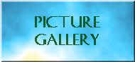 Picture Gallery Button